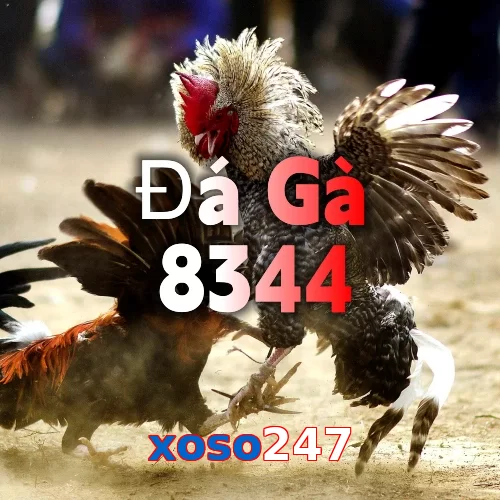 xoso247
